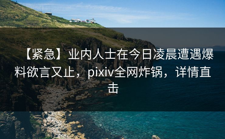 【紧急】业内人士在今日凌晨遭遇爆料欲言又止，pixiv全网炸锅，详情直击