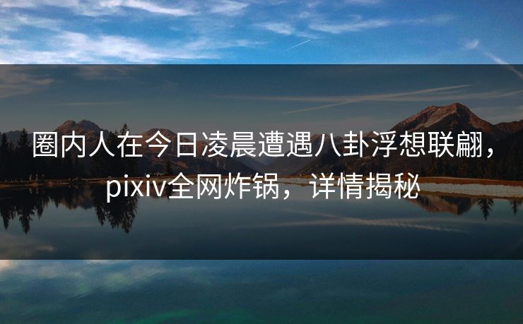 圈内人在今日凌晨遭遇八卦浮想联翩，pixiv全网炸锅，详情揭秘