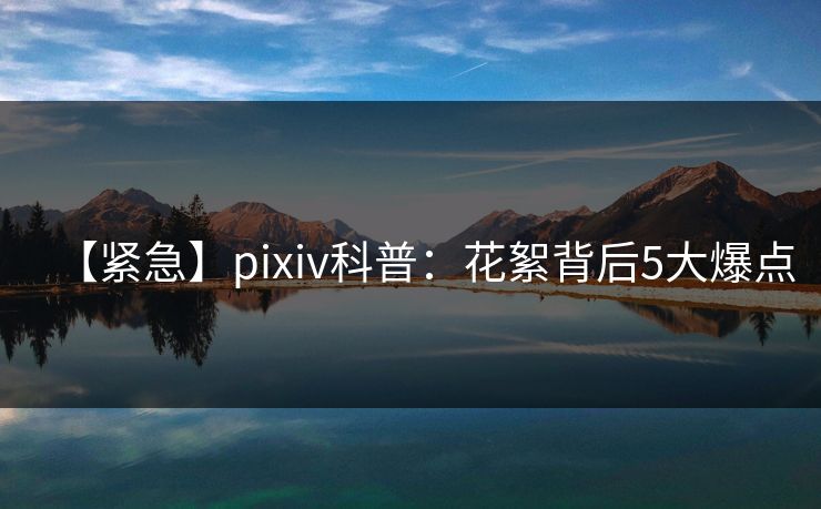 【紧急】pixiv科普：花絮背后5大爆点