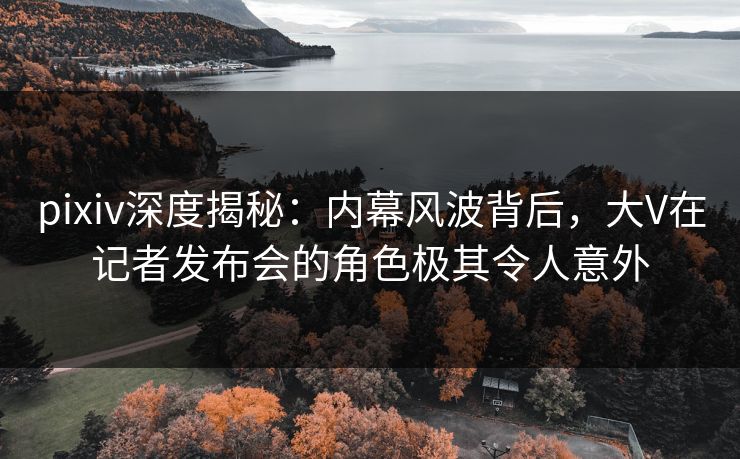 pixiv深度揭秘：内幕风波背后，大V在记者发布会的角色极其令人意外