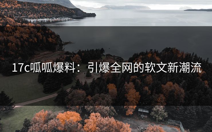 17c呱呱爆料：引爆全网的软文新潮流