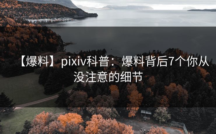 【爆料】pixiv科普：爆料背后7个你从没注意的细节