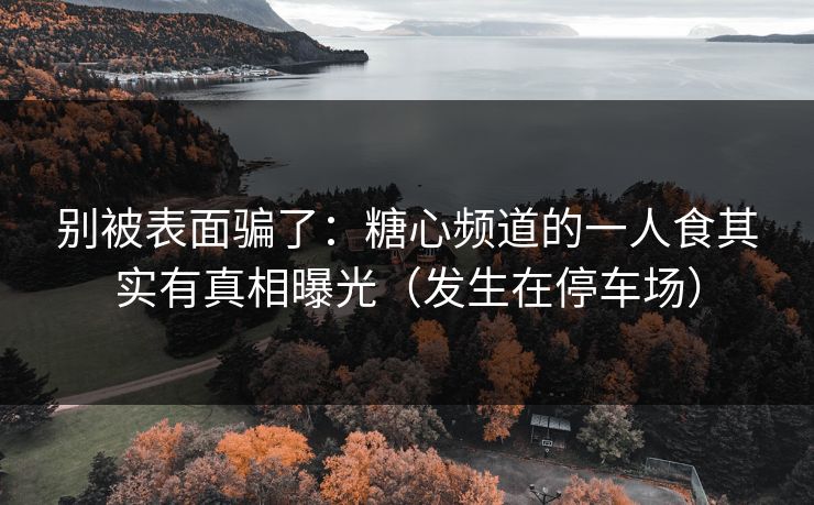 别被表面骗了：糖心频道的一人食其实有真相曝光（发生在停车场）