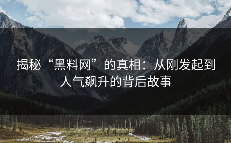 揭秘“黑料网”的真相：从刚发起到人气飙升的背后故事