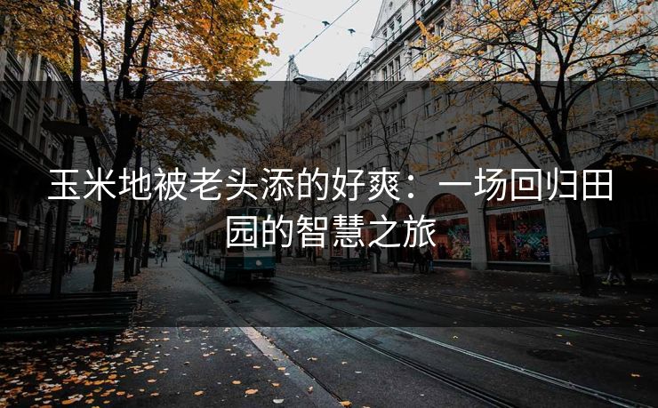 玉米地被老头添的好爽:一场回归田园的智慧之旅 玉米地被老头添的好爽:一场回归田园的智慧之旅